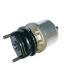 SPRING BRAKE (DISC)