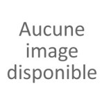 Verin de basculement